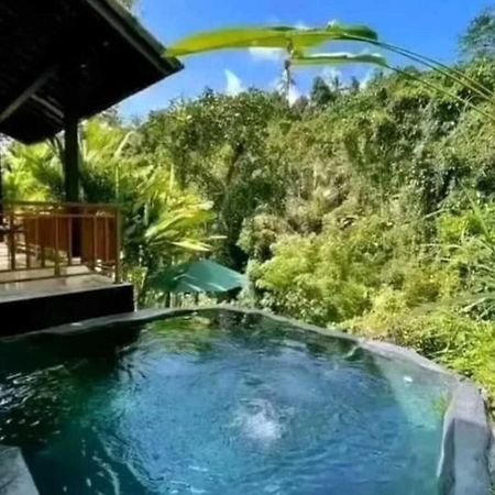 Pondok Kungkang Villa 2 ウブド エクステリア 写真