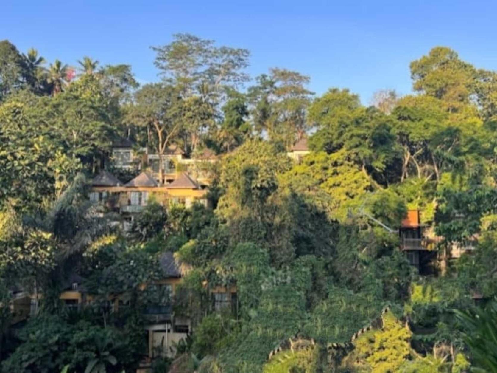 Pondok Kungkang Villa 2 ウブド エクステリア 写真