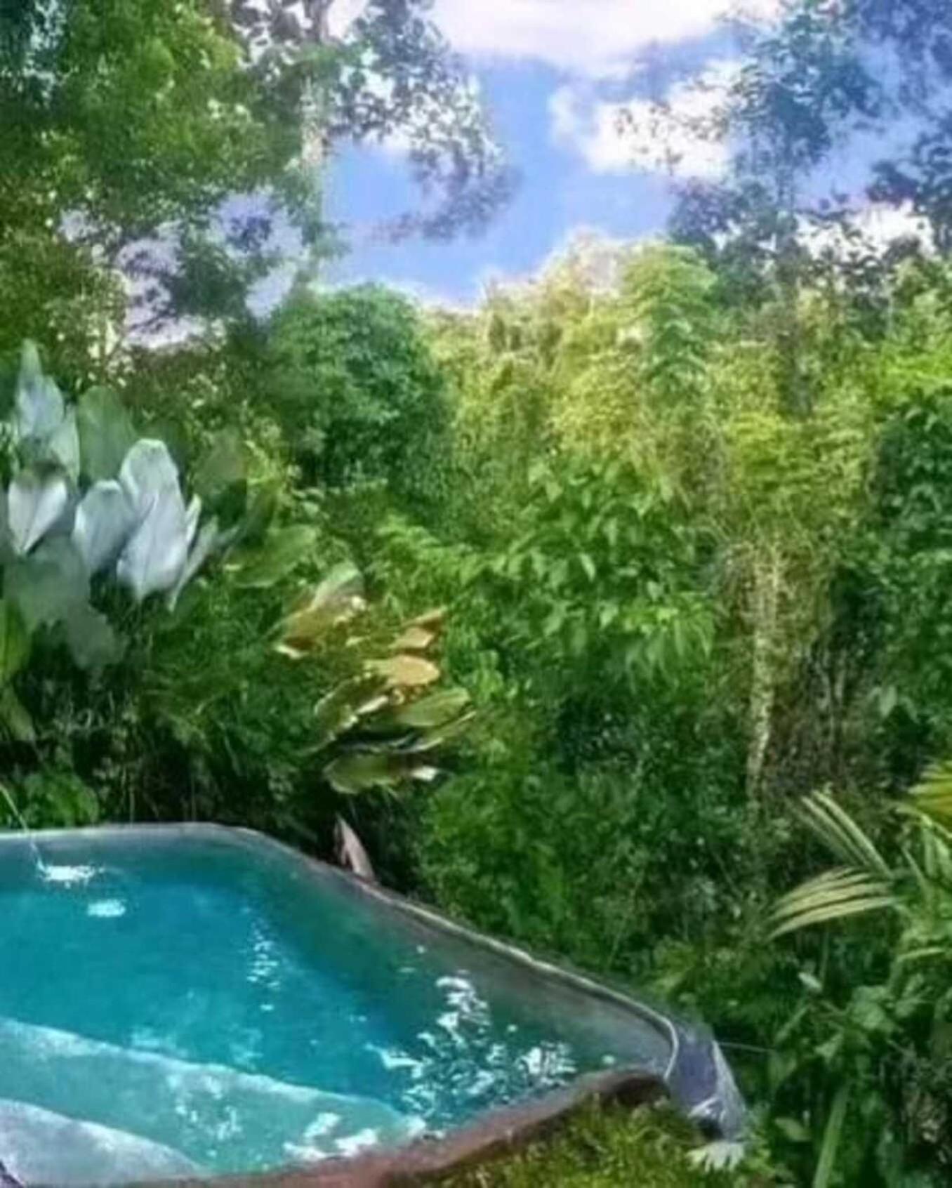 Pondok Kungkang Villa 2 ウブド エクステリア 写真