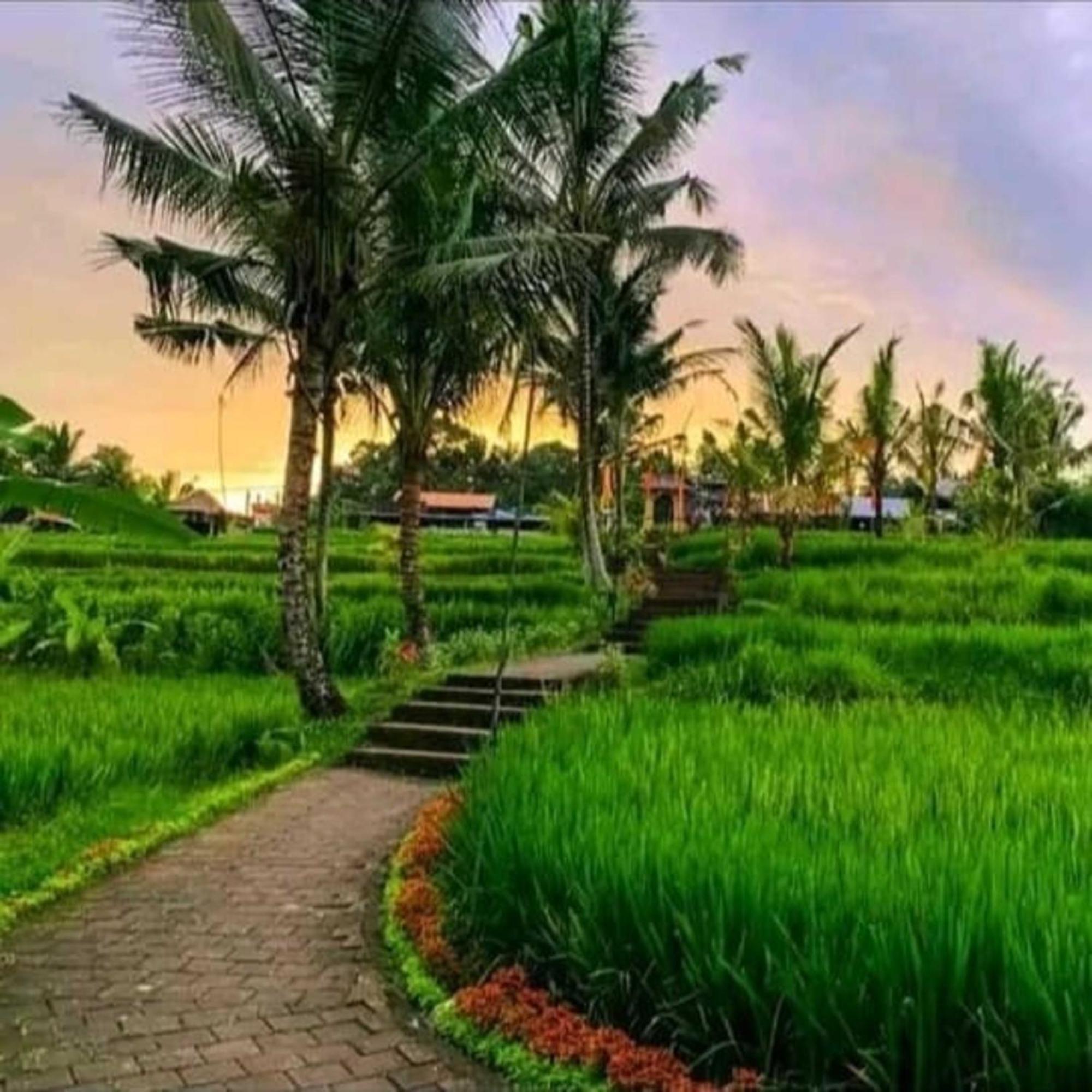 Pondok Kungkang Villa 2 ウブド エクステリア 写真