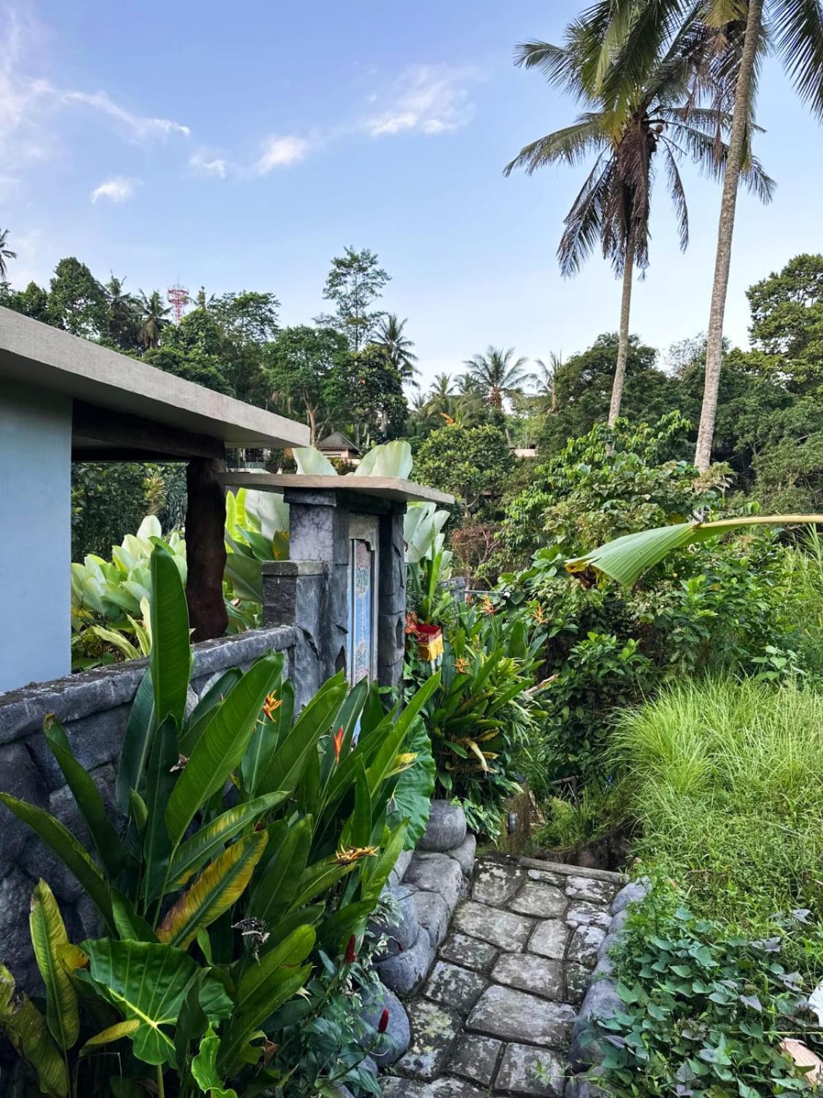 Pondok Kungkang Villa 2 ウブド エクステリア 写真